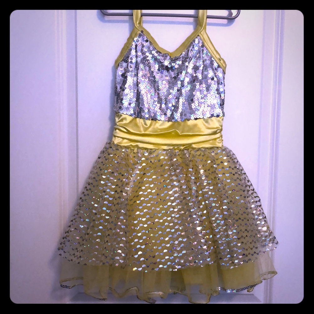 Girls Formal Dress / Ballet / Fancy Play Dress